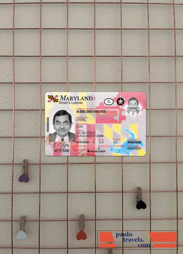 USA Maryland DL 2016   present photolook FRONT PSD template